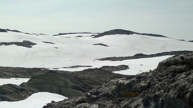 fra Breifonn: reinsdyr