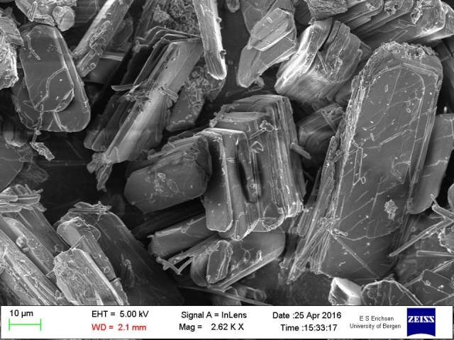 Copiapitt, foto ved Stein-Erik Lauritzen 