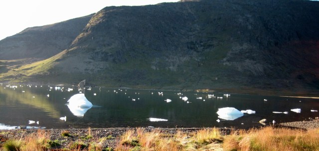 Narsaq Bay 