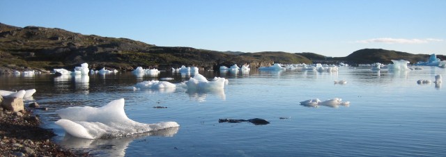 Narsaq Bay 