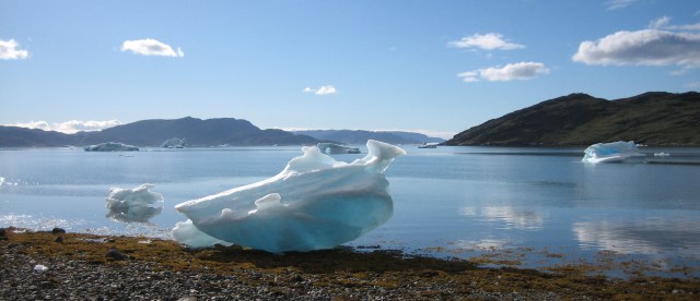 Narsaq Bay  -  rester av strandede isfjell danner isskulpturer på stranden