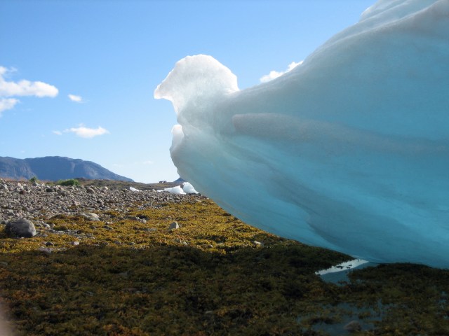 Narsaq Bay  -  rester av strandede isfjell danner isskulpturer på stranden