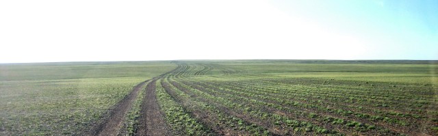 vest av Dalanzadgad, på vei inni Gobi  (kompaktkamera, gjennom fronruten i en eldre Nissan Safari GrandRoad 4WD) 