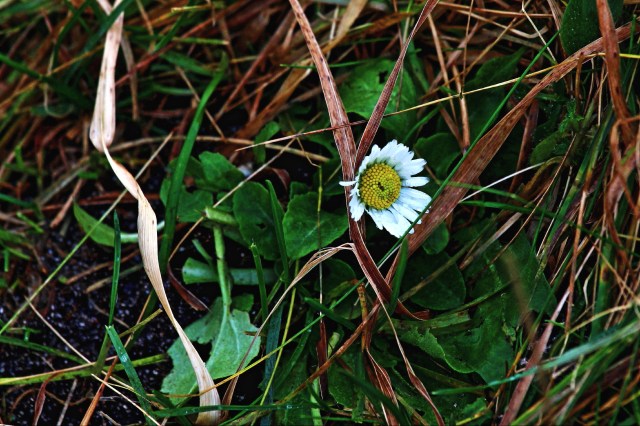 Mjølhussanden 22.11.13.