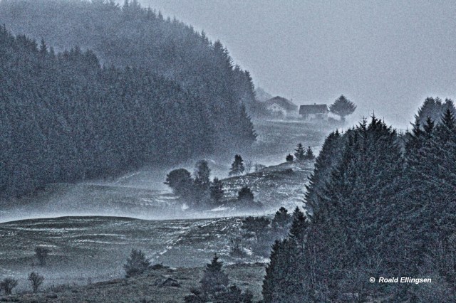 parti fra Vormedalsvatnet NV, 10.12.13.