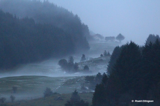 parti fra Vormedalsvatnet NV, 10.12.13.