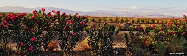 Marokko: fra Anti-Atlas 