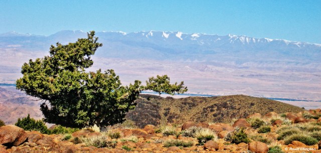 Marokko: fra Anti-Atlas 