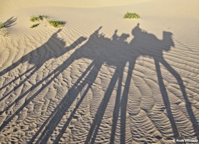 Tunisia: nær Zafrane