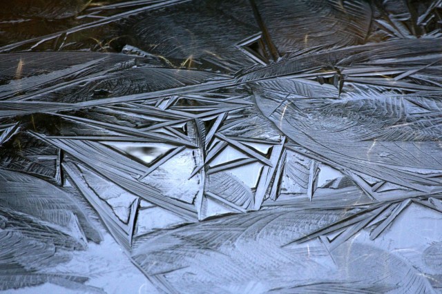 Copy (1) of IMG_3513