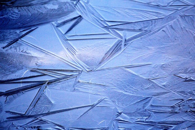 Copy (1) of IMG_3515b