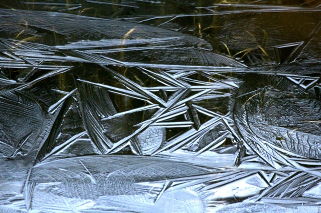 Copy (1) of IMG_3516