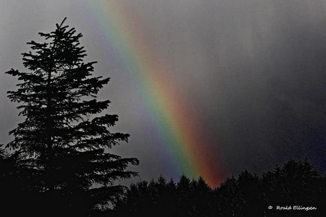 1978683_671421356249873_1323415288_n b