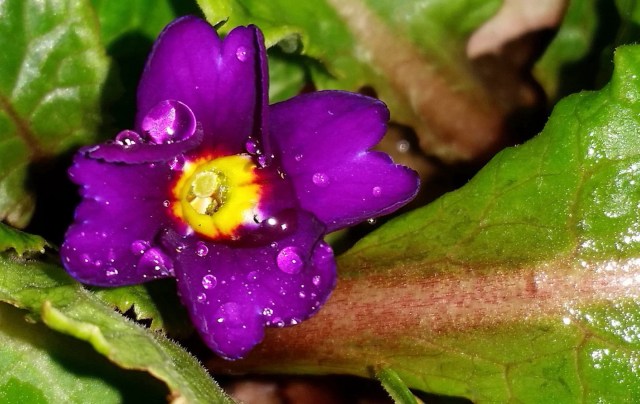 20141215_095505 e _1