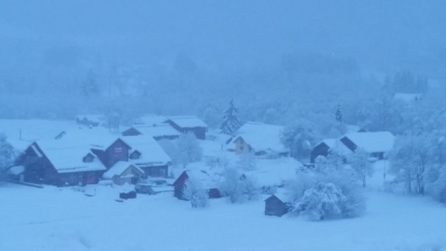 Copy (1) of 20141211_145310