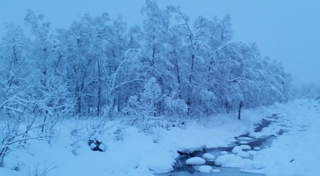 Copy (1) of 20141211_150036