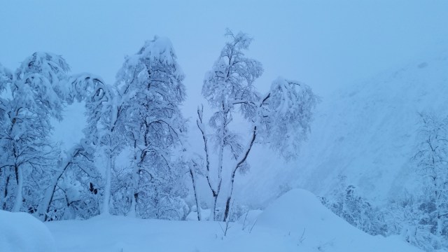 Copy (1) of 20141212_093508