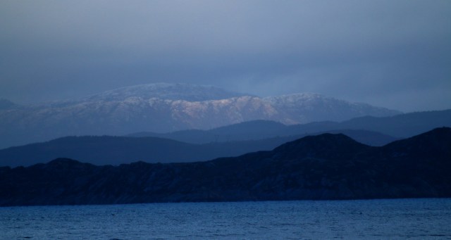 Copy (1) of IMG_4433b