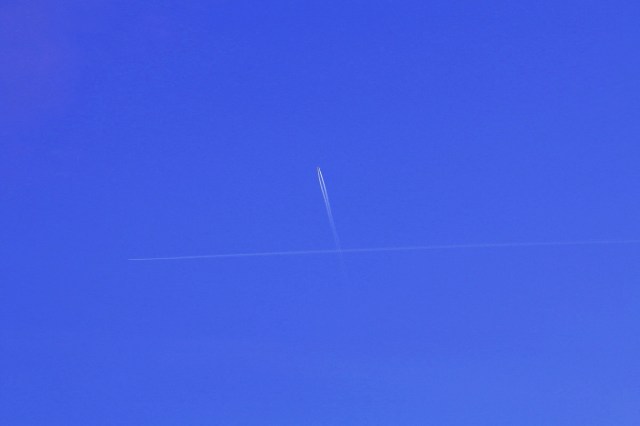 Copy (1) of IMG_5301e