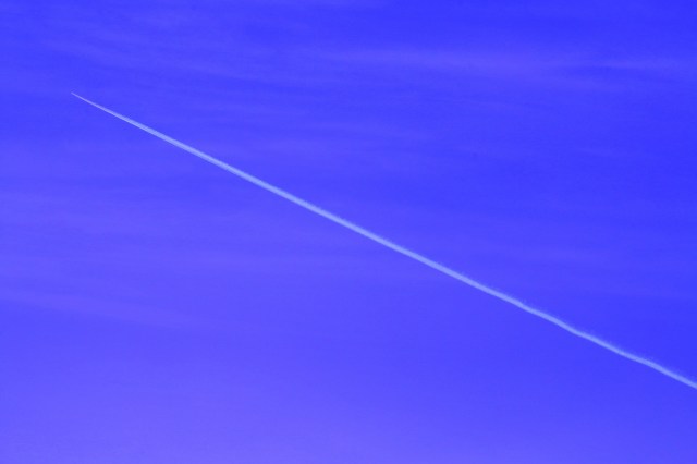 Copy (1) of IMG_5308d