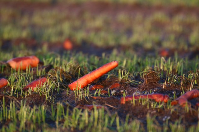 Copy (1) of IMG_5327