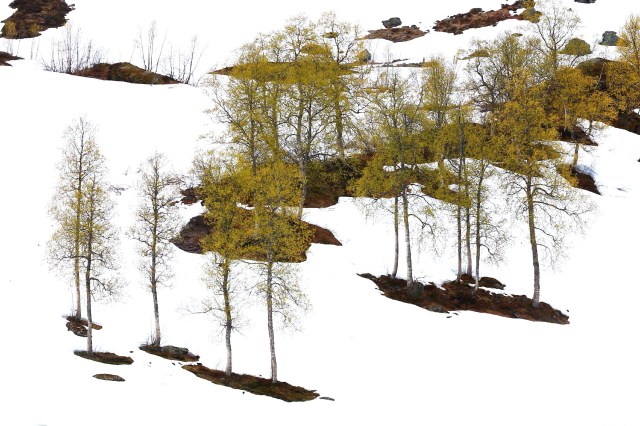 Copy (1) of IMG_3150c