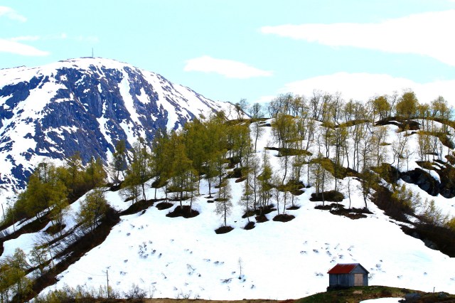 Copy (1) of IMG_3169b