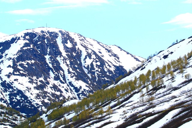 Copy (1) of IMG_3172b