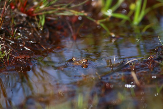 Copy (1) of IMG_4840