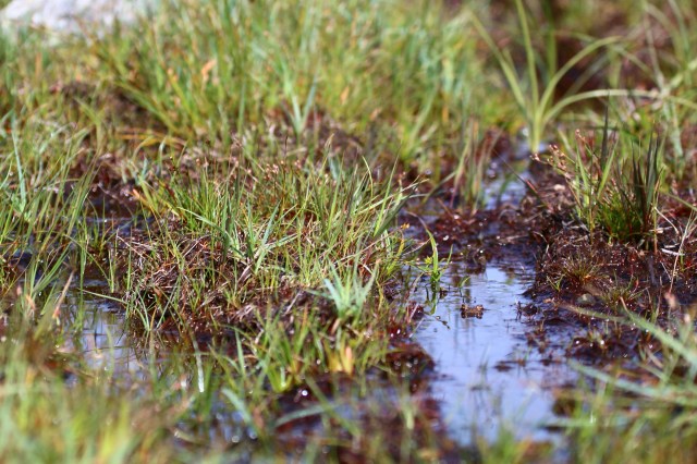 Copy (1) of IMG_4843