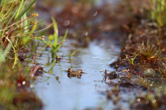 Copy (1) of IMG_4850