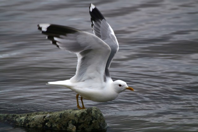 Copy (1) of IMG_4231