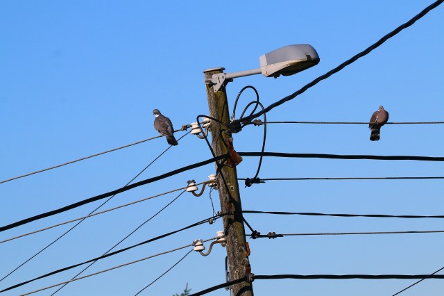 Copy (1) of IMG_7720