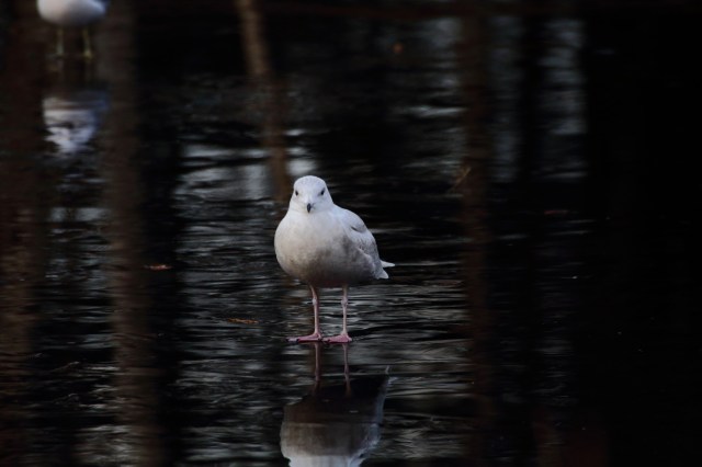 Copy (1) of IMG_2870