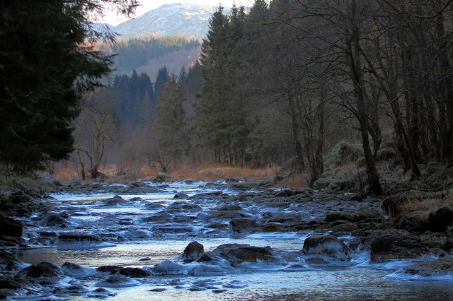 Copy (1) of IMG_3417b