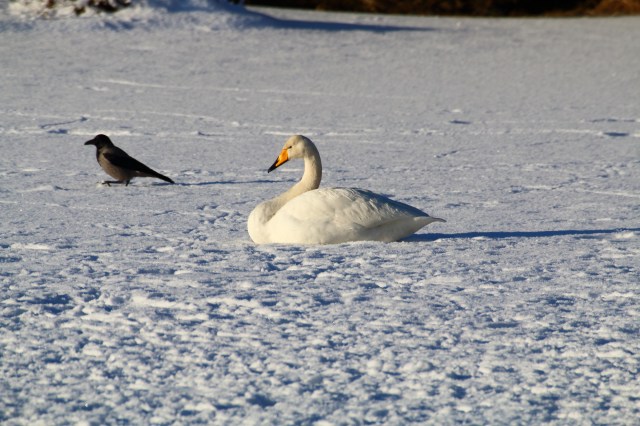 Copy (1) of IMG_3834