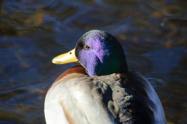 Copy (1) of IMG_3840