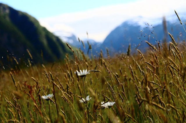 Copy (1) of IMG_3141