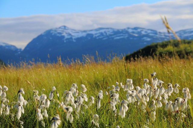 Copy (1) of IMG_3165